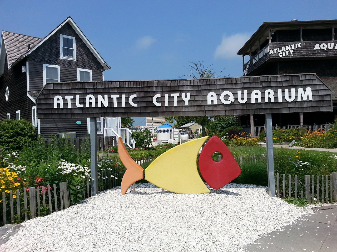 Atlantic City Aquarium