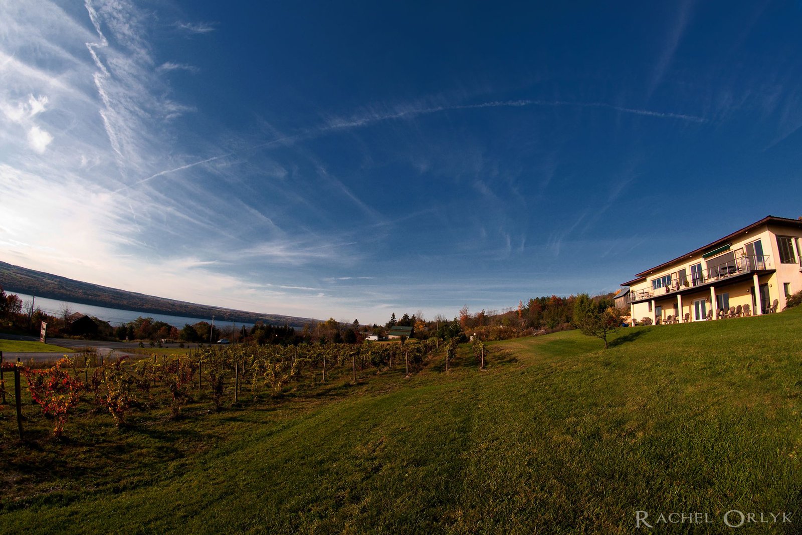 Damiani Wine Cellars