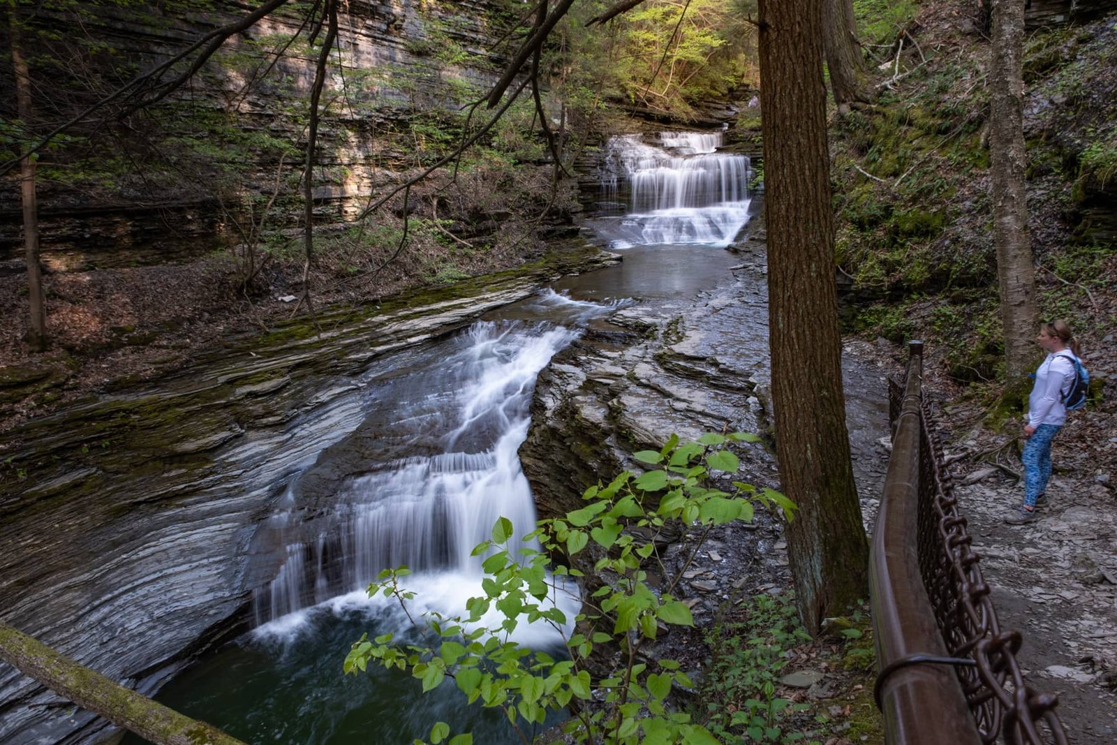 Finger Lakes Trail