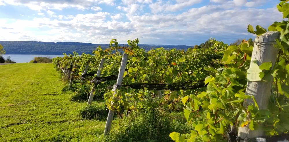 Seneca Lake Wine Trail