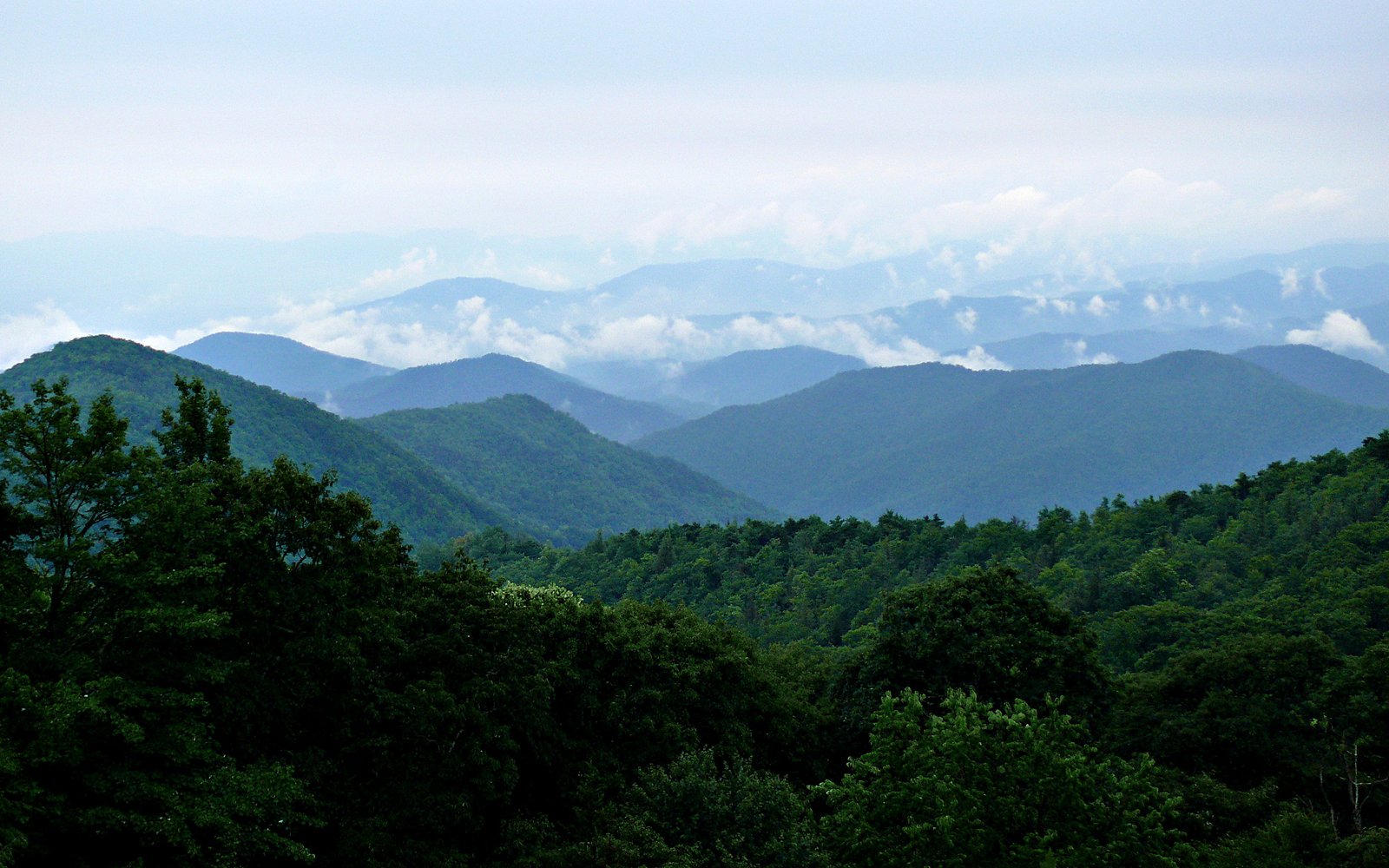 Rainy Blue Ridge 27527